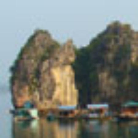 Statesman Bakery & Confectinery House